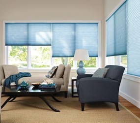 MyBlinds:  Light Filtering Cellular Shade